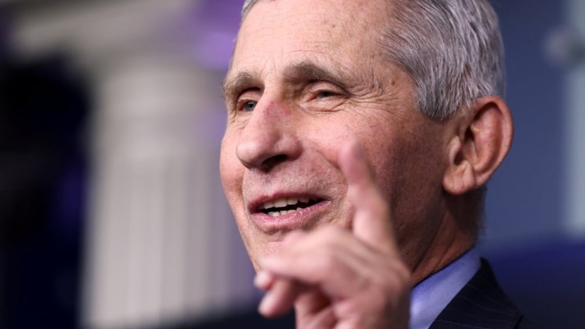 Senate Panel Votes to Cite Fauci for Contempt Senate Panel Votes to Cite Fauci for Contempt - fauci contempt