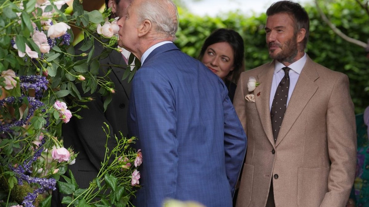 King Charles sniffs Beckham rose King Charles sniffs Beckham rose - beckham rose