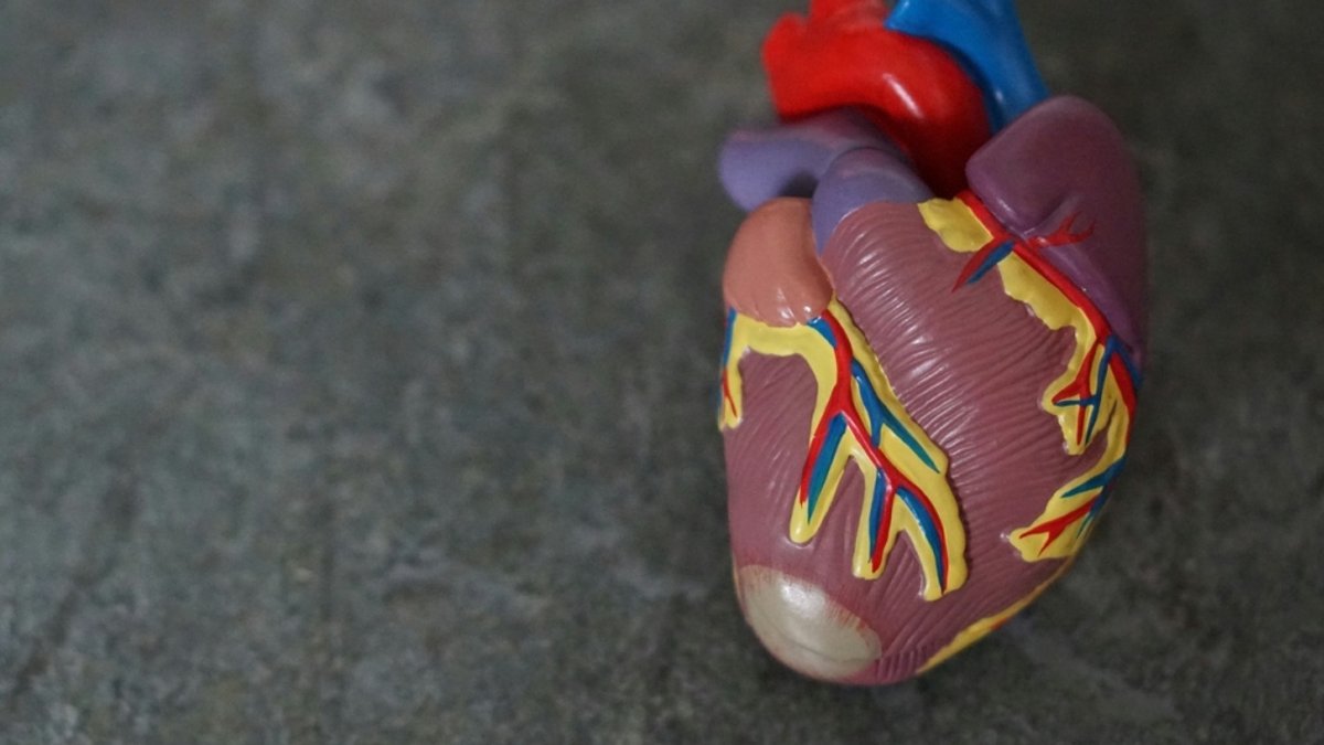 Heart failure market to grow 8% by 2036 Heart failure market to grow 8% by 2036 - heart failure market