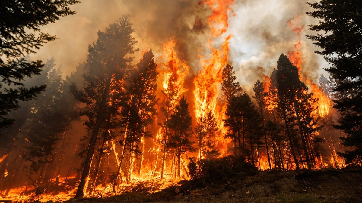 Congress moves to ban wildfire betting - wildfire betting