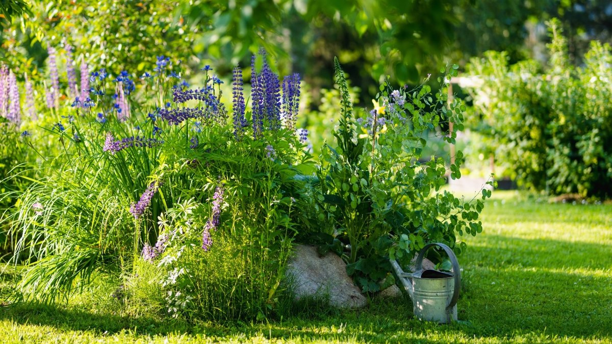 Divide These 9 Plants for Healthier Growth Divide These 9 Plants for Healthier Growth - divide plants for healthier growth