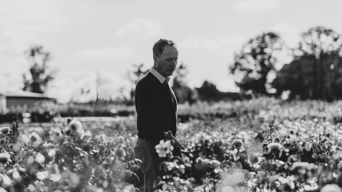 David Austin Roses founder dies at 92 - david austin roses