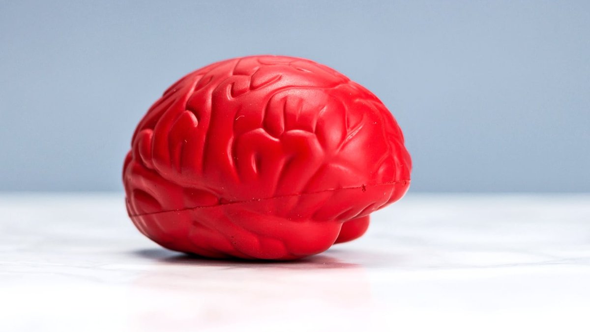 New Alzheimer's drug safety under scrutiny New Alzheimer's drug safety under scrutiny - alzheimer's drug
