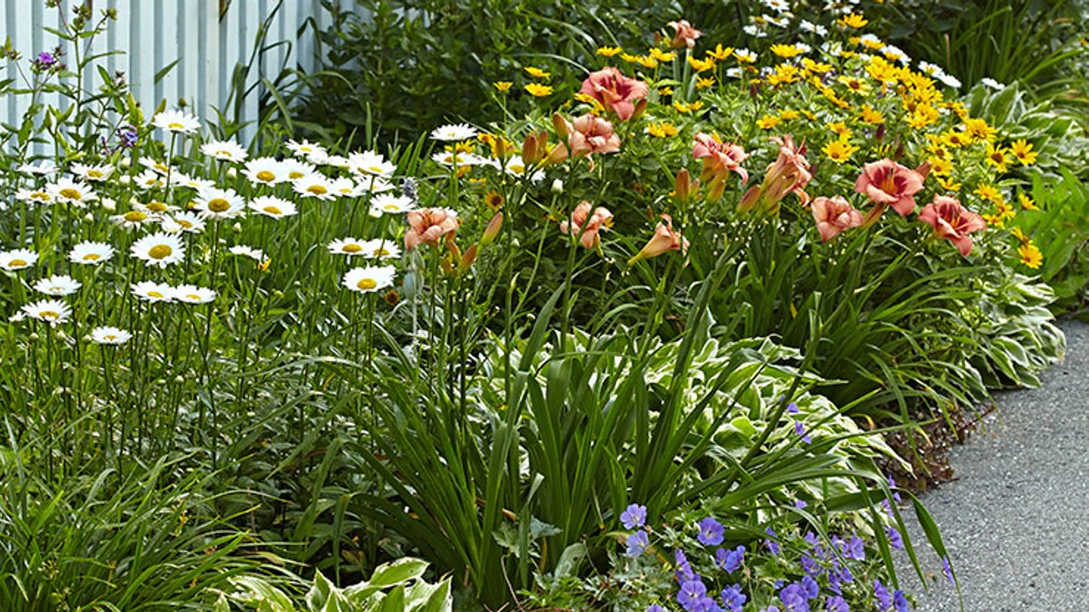 Six Smart Tips For Summer Gardens Six Smart Tips For Summer Gardens - smart tips