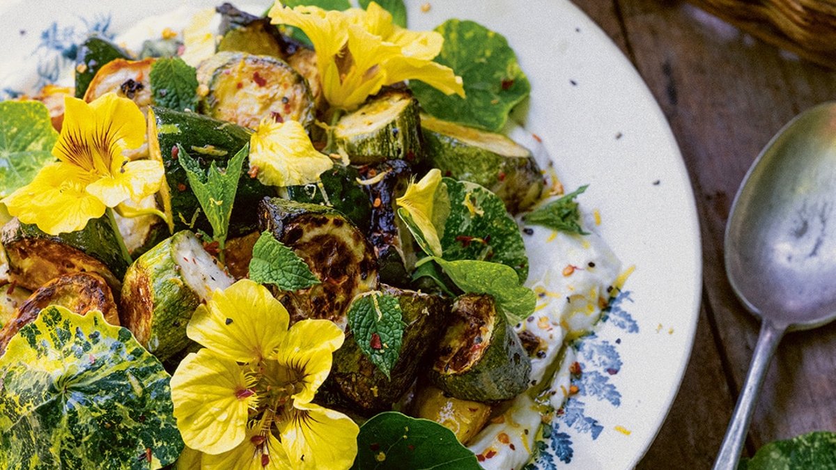Grilled courgettes pair with ricotta and mint - grilled courgettes