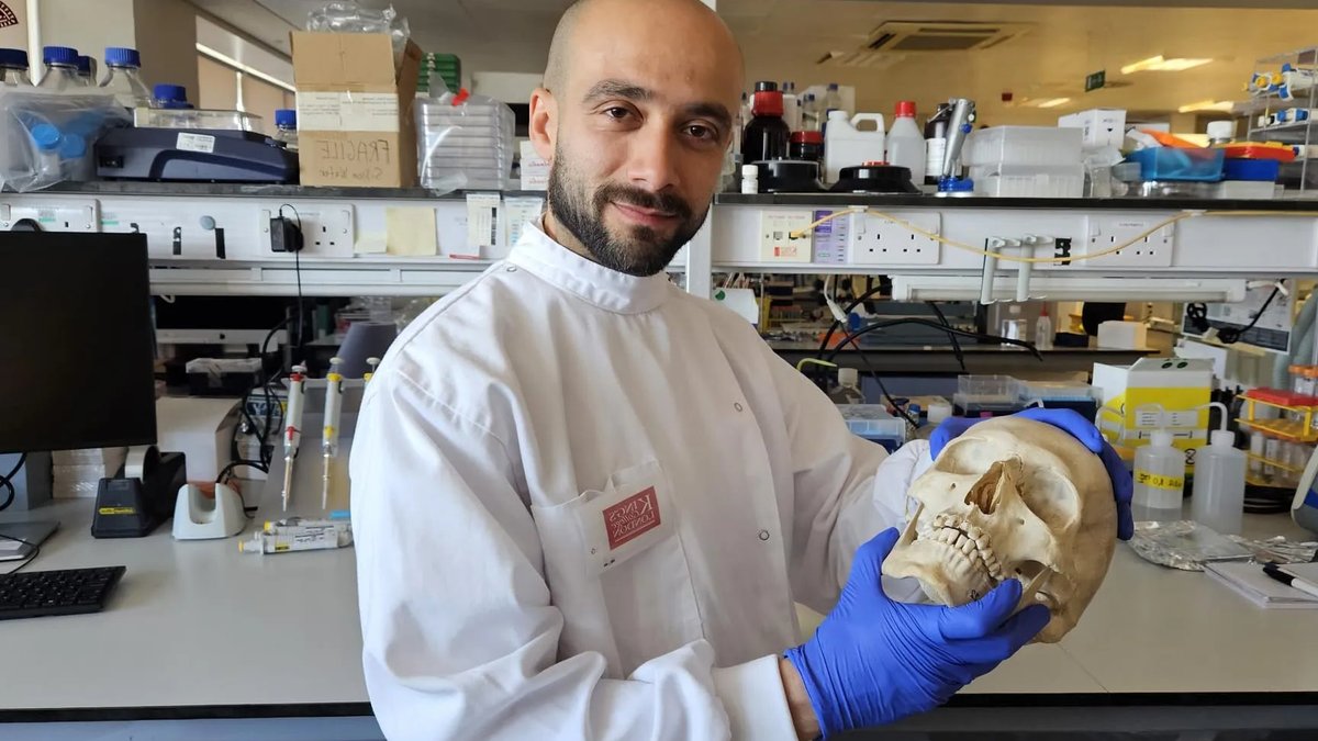 Sheep’s wool helps regrow bone - sheep's wool bone regeneration