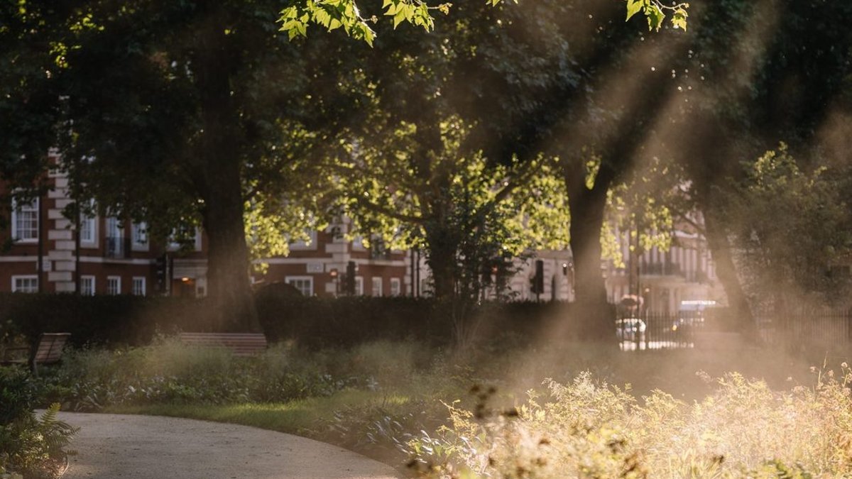 Dunnett Garden Opens in London This Month Dunnett Garden Opens in London This Month - dunnett garden