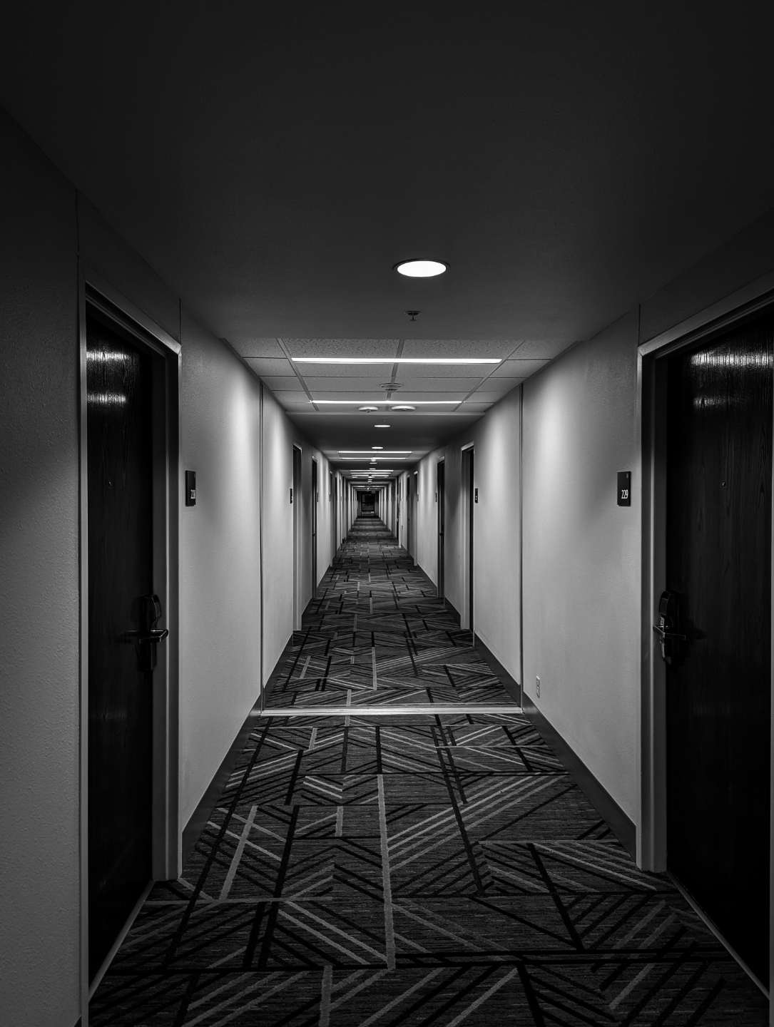 Lobby Carpets