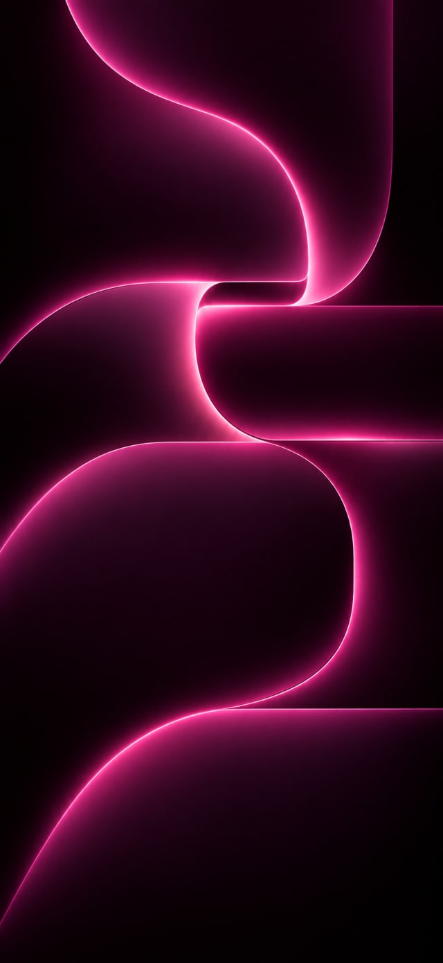 Neon Noir — Rose Neon wallpaper