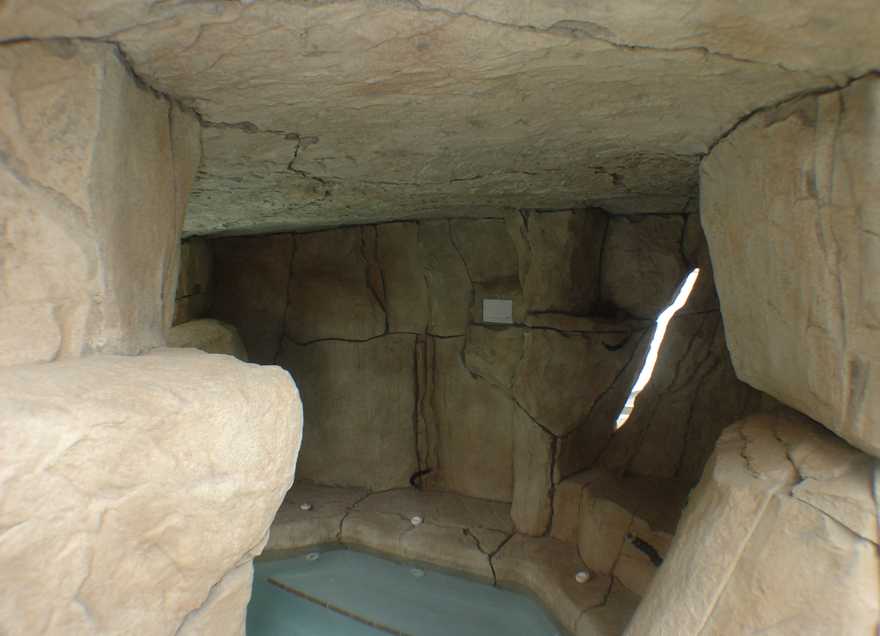 Gallery Photo 16