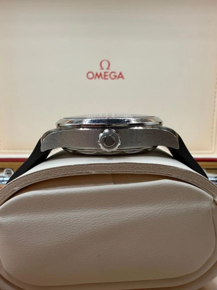 Omega Seamaster Aqua Terra Master Chronometer Card and Pictogram Card Included — photo 2