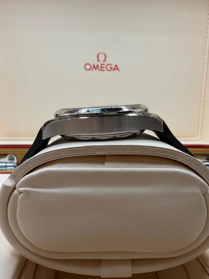 Omega Seamaster Aqua Terra Master Chronometer Card and Pictogram Card Included — photo 3