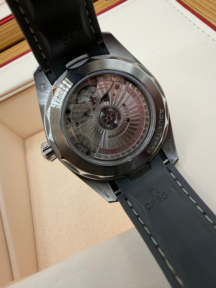 Omega Seamaster Aqua Terra Master Chronometer Card and Pictogram Card Included — photo 5