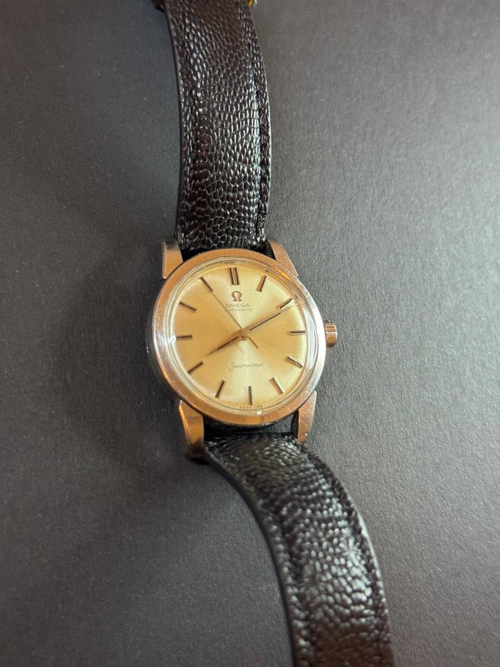 Omega Seamaster Automatic Black Snakeskin Strap Large Hippocampus Caseback — photo 4