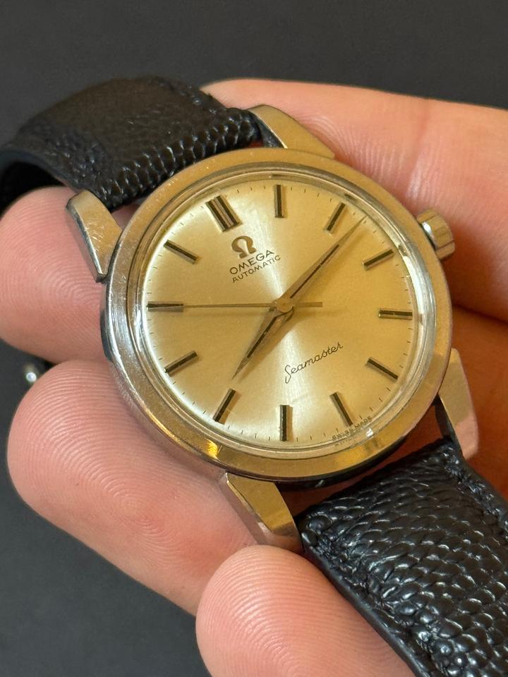 Omega Seamaster Automatic Black Snakeskin Strap Large Hippocampus Caseback — photo 5