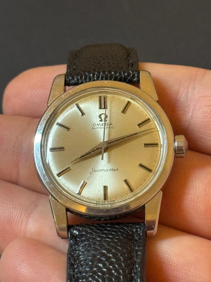 Omega Seamaster Automatic Black Snakeskin Strap Large Hippocampus Caseback — photo 6