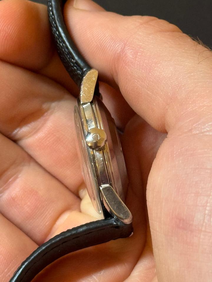 Omega Seamaster Automatic Black Snakeskin Strap Large Hippocampus Caseback — photo 8
