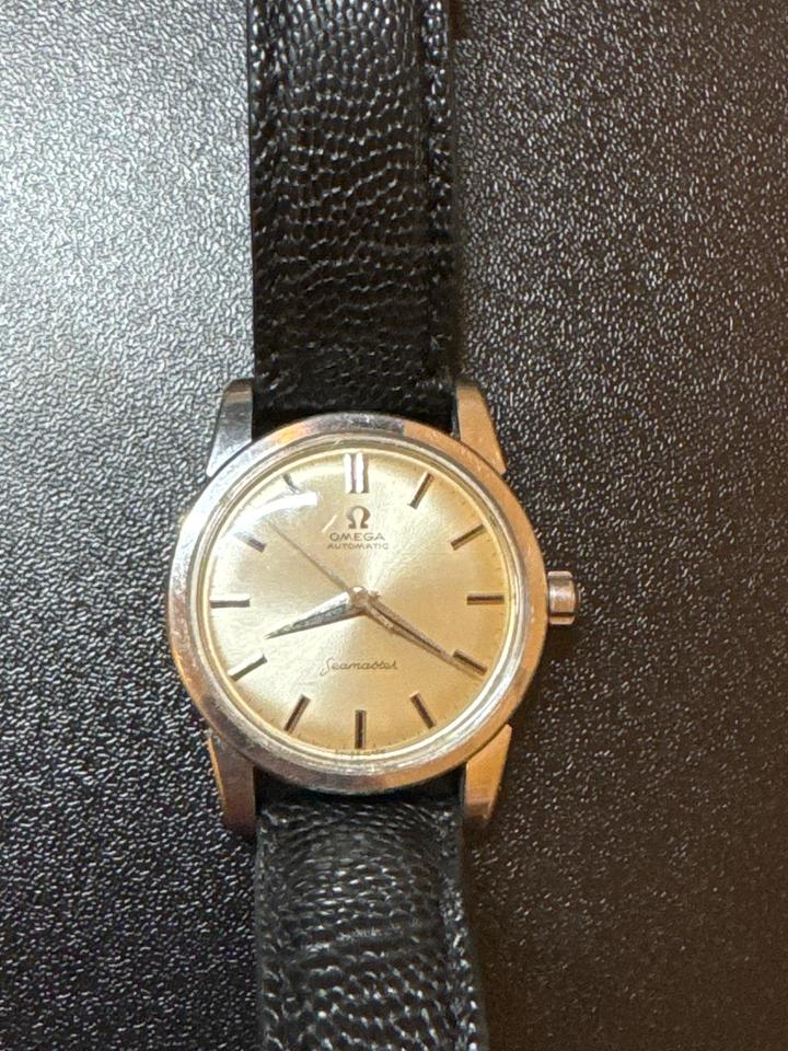 Omega Seamaster Automatic Black Snakeskin Strap Large Hippocampus Caseback — photo 10