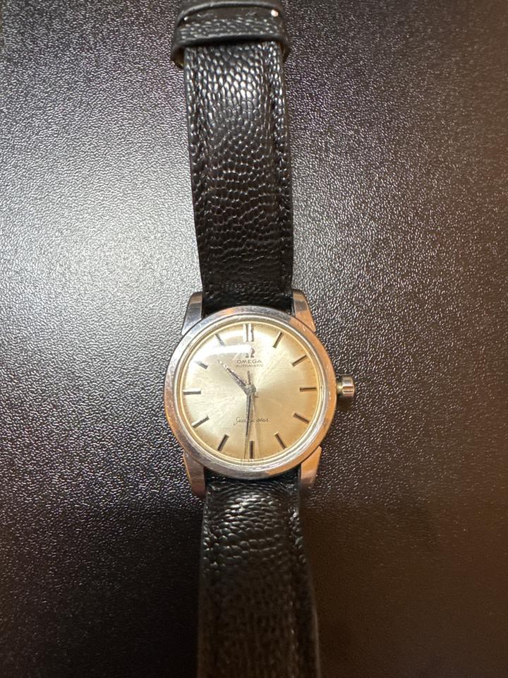 Omega Seamaster Automatic Black Snakeskin Strap Large Hippocampus Caseback — photo 11