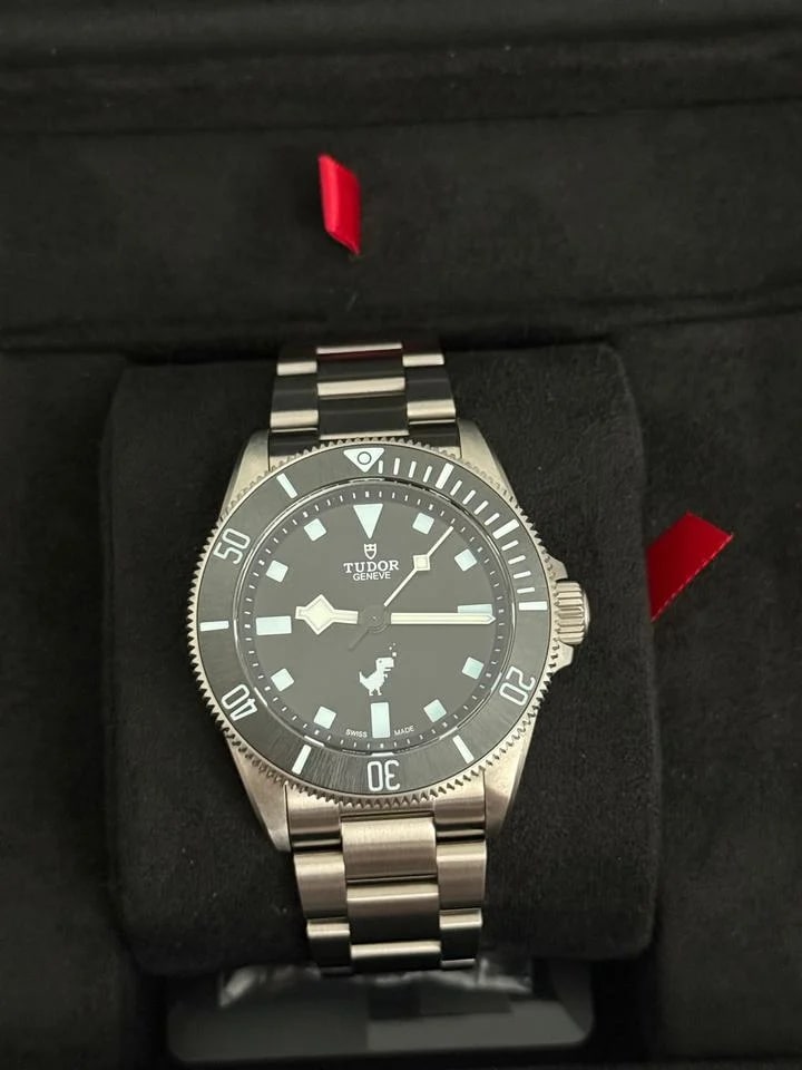 Tudor Pelagos Google Chrome Dino Tudor Pelagos (extremely rare) — photo 2