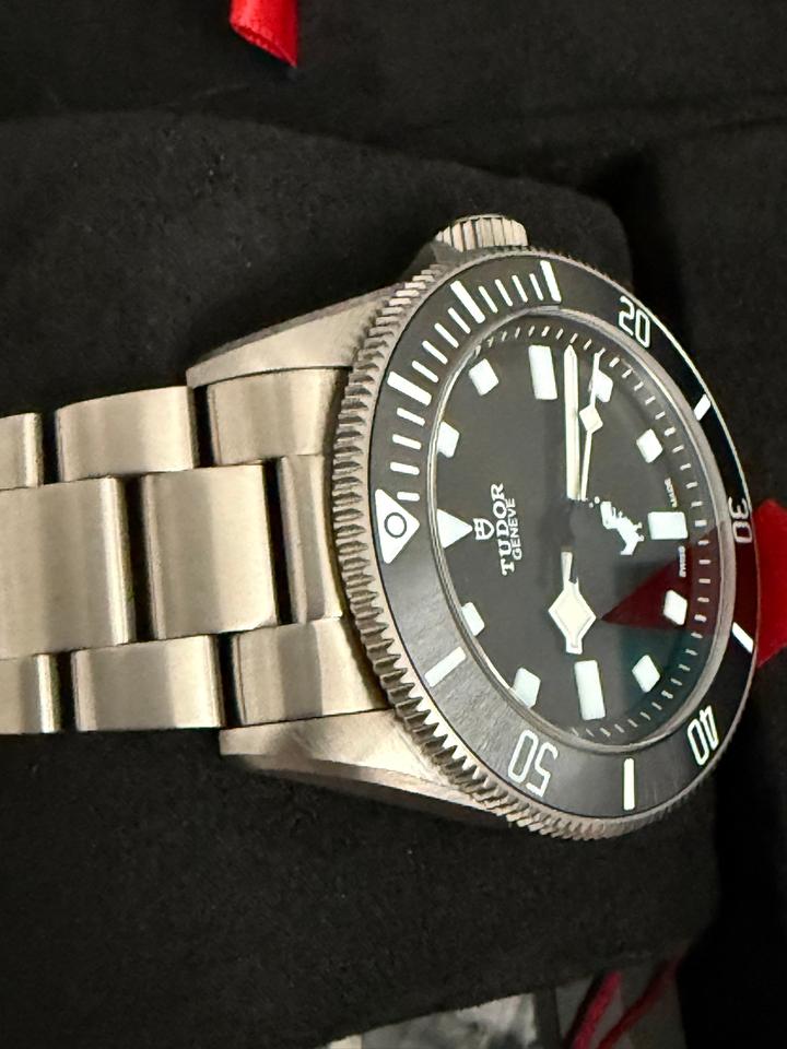 Tudor Pelagos Google Chrome Dino Tudor Pelagos (extremely rare) — photo 4