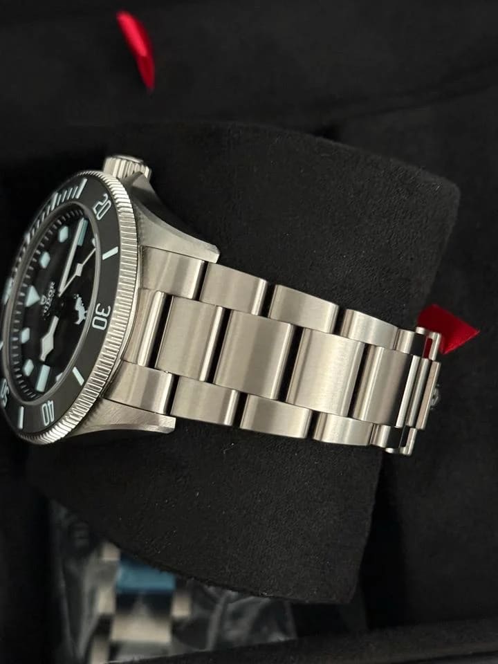 Tudor Pelagos Google Chrome Dino Tudor Pelagos (extremely rare) — photo 7