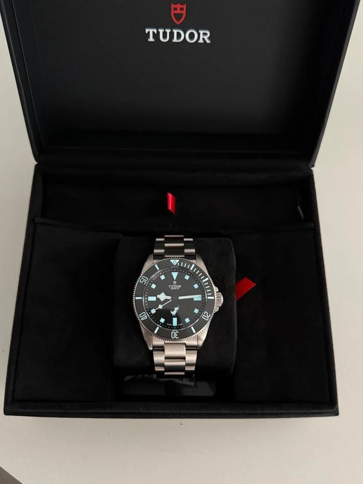 Tudor Pelagos Google Chrome Dino Tudor Pelagos (extremely rare) — photo 8