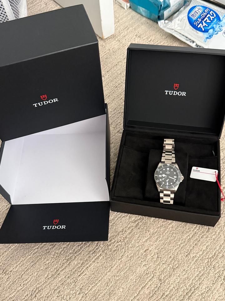 Tudor Pelagos Google Chrome Dino Tudor Pelagos (extremely rare) — photo 9