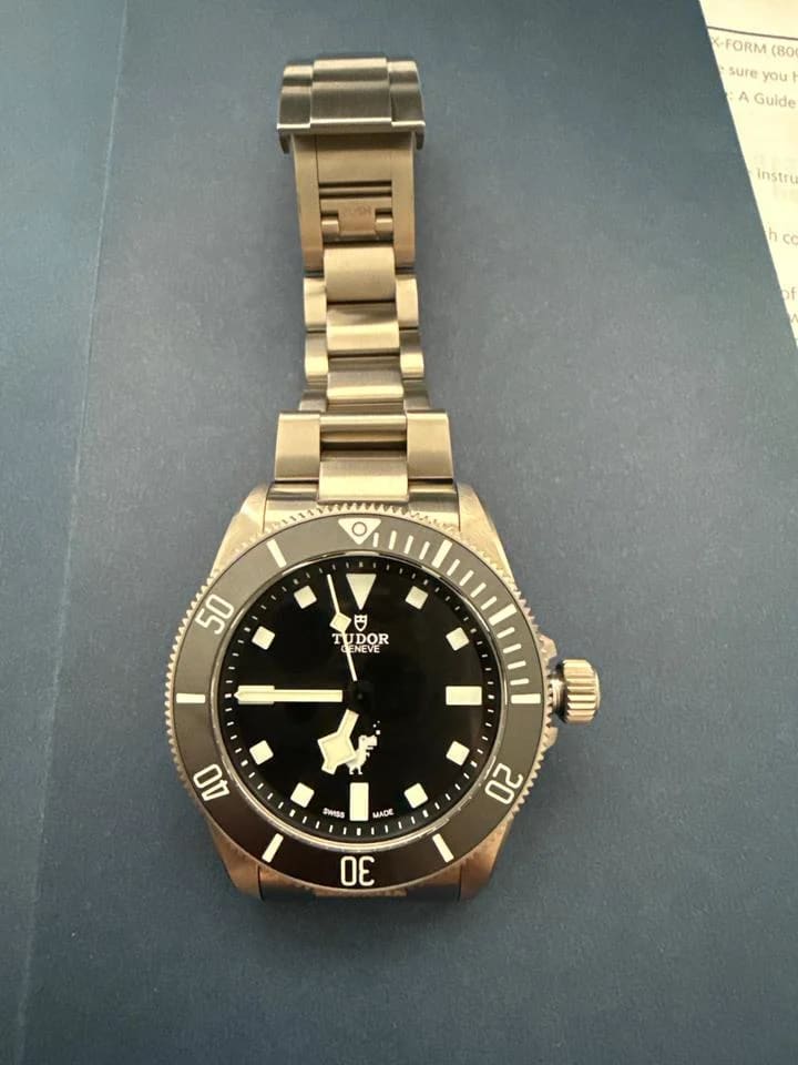 Tudor Pelagos Google Chrome Dino Tudor Pelagos (extremely rare) — photo 11