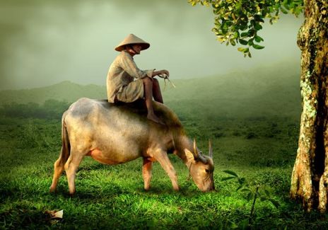 Đời người ngắn ngủi, ngoảnh đi ngoảnh lại cũng chỉ bằng một cái chớp mắt
