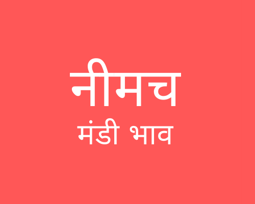 Neemuch Mandi - नीमच मंडी मंडी भाव 25-04-2023