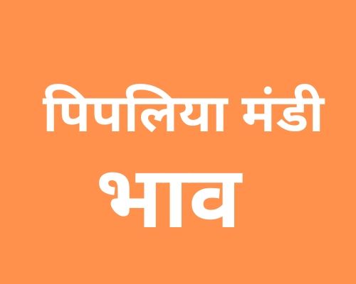 Pipliya Mandi - पिपलिया मंडी मंडी भाव 02-02-2023