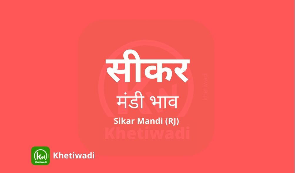 Sikar Mandi - सीकर मंडी मंडी भाव 13-04-2023