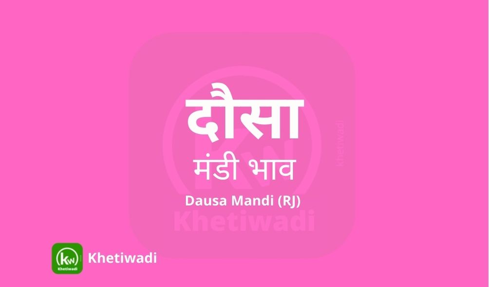 Dausa Mandi - दौसा मंडी मंडी भाव 12-06-2023