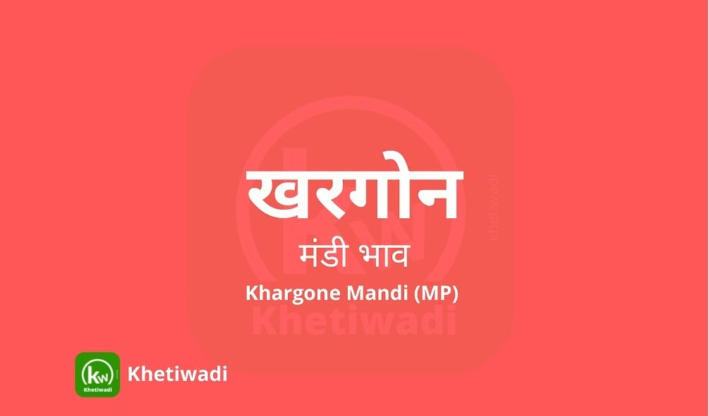 Khargone Mandi - खरगोन मंडी मंडी भाव 15-02-2023