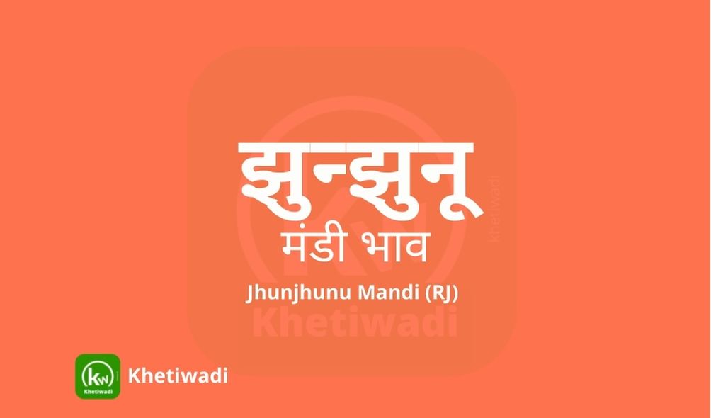 Jhunjhunu Mandi - झुन्झुनू मंडी मंडी भाव 23-05-2023