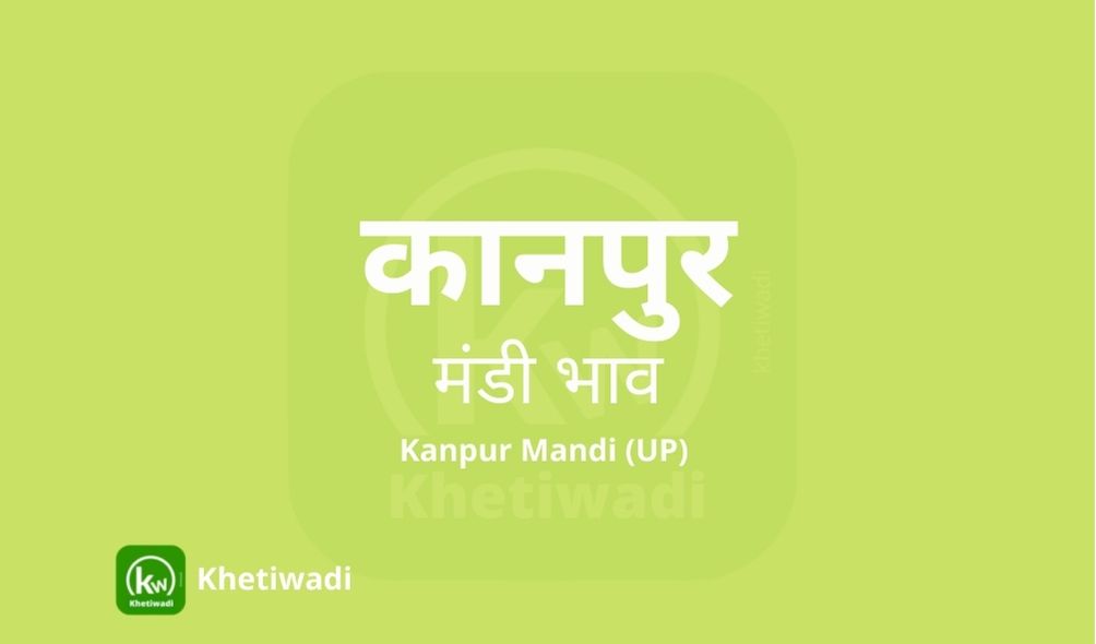 Kanpur Mandi - कानपुर मंडी मंडी भाव 01-01-2022
