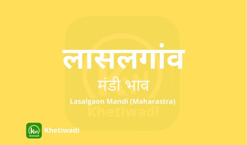 Lasalgaon Mandi - लासलगांव मंडी मंडी भाव 15-05-2024