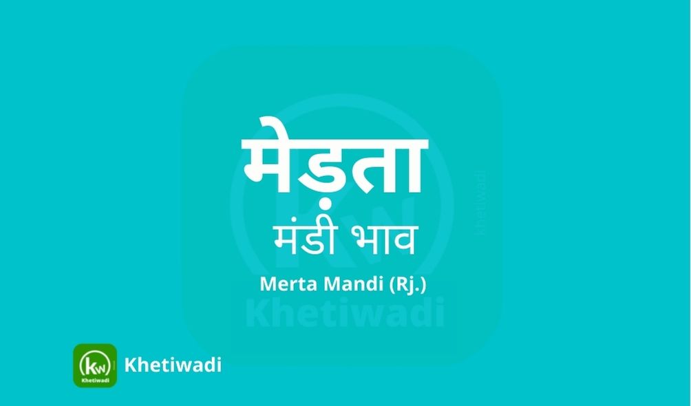 Merta Mandi - मेड़ता मंडी मंडी भाव 18-04-2023