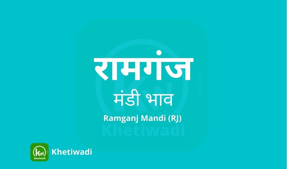 Ramganj Mandi - रामगंज मंडी मंडी भाव 25-07-2023