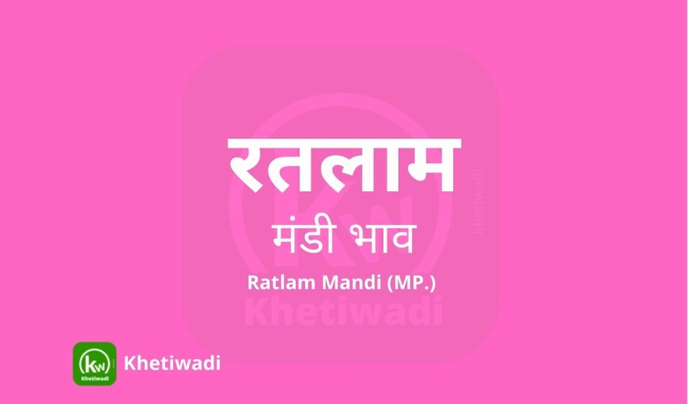 Ratlam Mandi - रतलाम मंडी मंडी भाव 22-07-2025