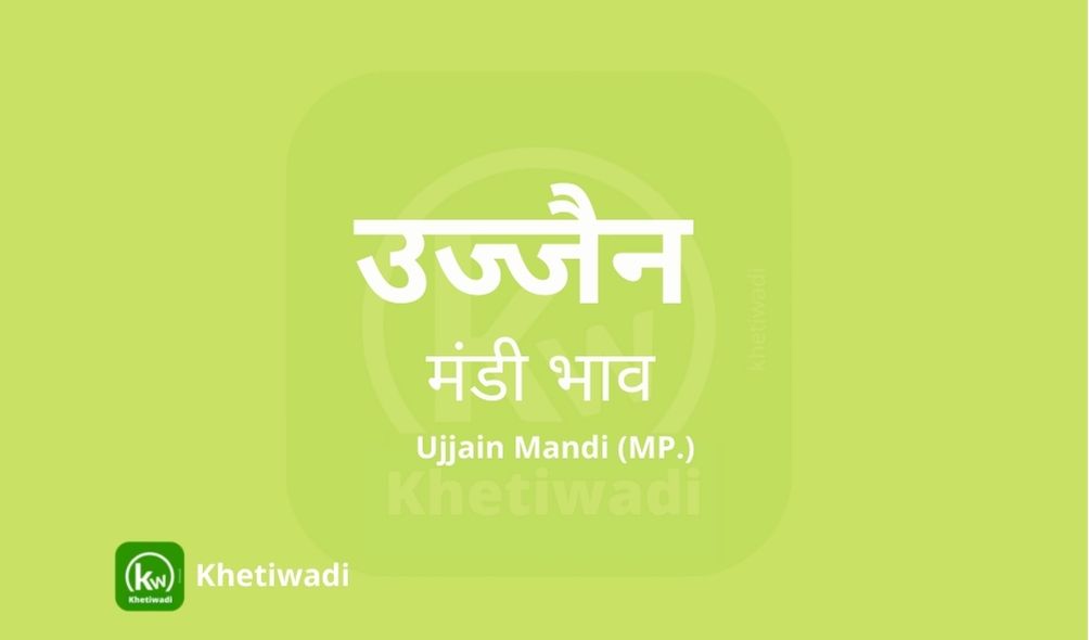Ujjain Mandi - उज्जैन मंडी मंडी भाव 27-12-2023