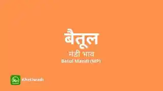 Betul Mandi - बैतूल मंडी मंडी भाव