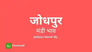 Jodhpur Mandi - जोधपुर मंडी मंडी भाव