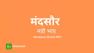 Mandsaur Mandi thumbnail