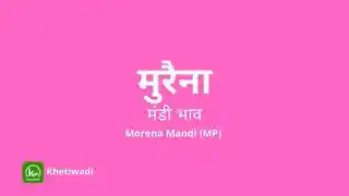 Morena Mandi - मुरैना मंडी मंडी भाव