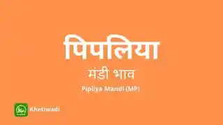 Pipliya Mandi thumbnail