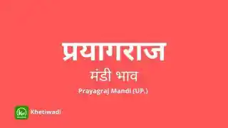 Prayagraj Mandi thumbnail