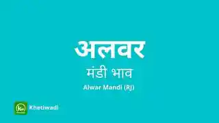 Alwar Mandi thumbnail