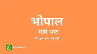 Bhopal Mandi - भोपाल मंडी मंडी भाव